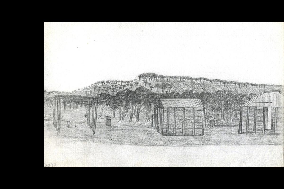 Panorama featuring small buildings, a bough shed and range in the background.