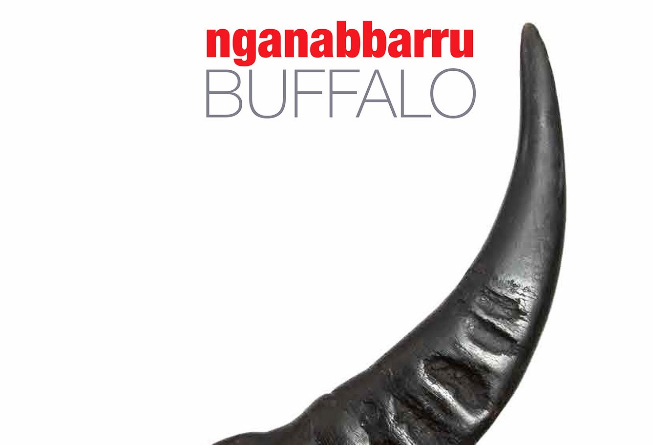 Black and white image of buffalo horn